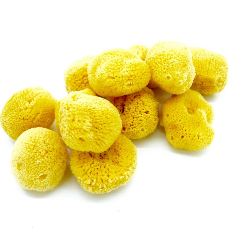 Caribbean Silk Facial Sponges