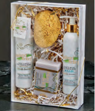 Lotion, Body Wash, Soap and Sponge Gift Set